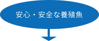 安心・安全な養殖魚